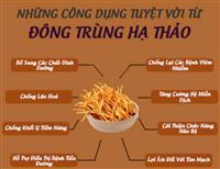 Cách sử dụng đông trùng hạ thảo hiệu quả nhất cho sức khỏe.