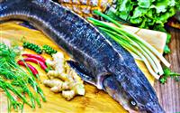 Thưởng thức lẩu cá tầm Hà Nội ngon đúng điệu, đậm vị khó quên