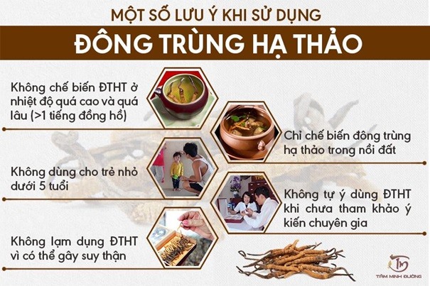 Cách sử dụng đông trùng hạ thảo