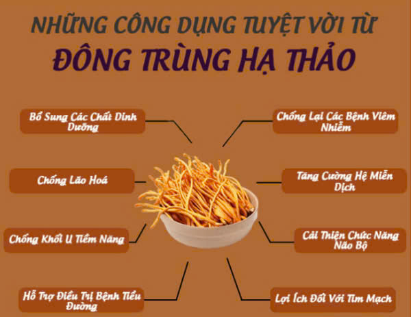 Cách sử dụng đông trùng hạ thảo