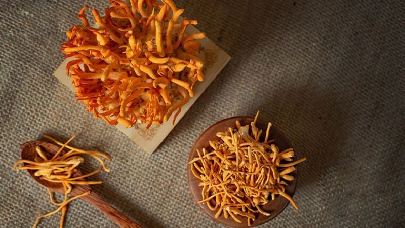 Cách sử dụng đông trùng hạ thảo