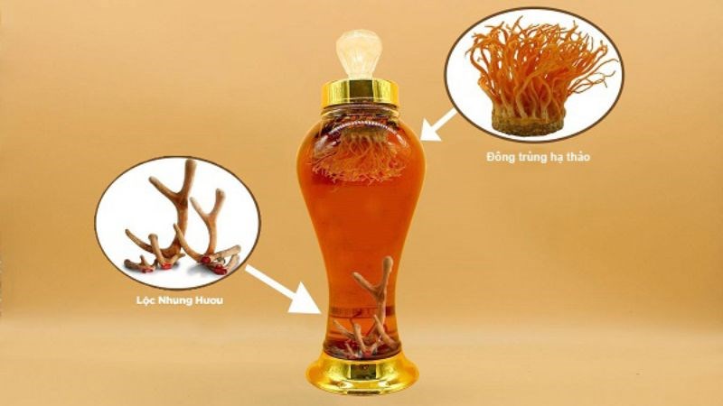 Cách sử dụng đông trùng hạ thảo