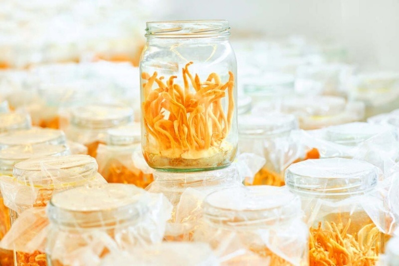 Cách chọn mua chân gà tươi ngon
