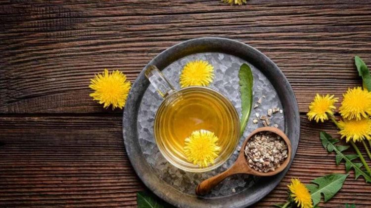 Tác hại của cây bồ công anh